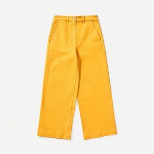 Everlane The Wide Leg Crop Pant
